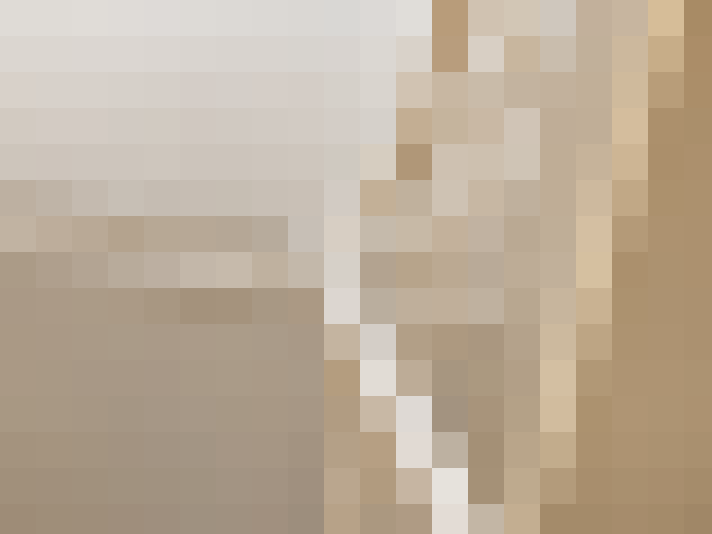  / #15