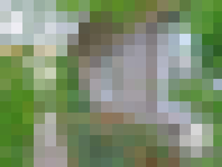  / #18