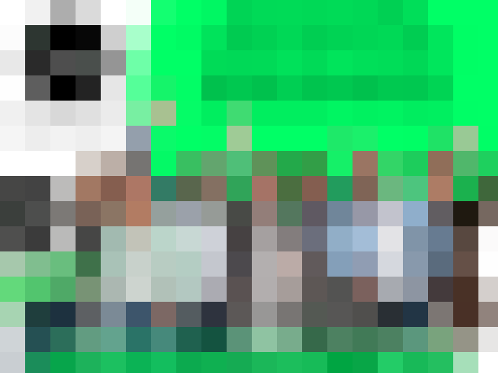  / #21