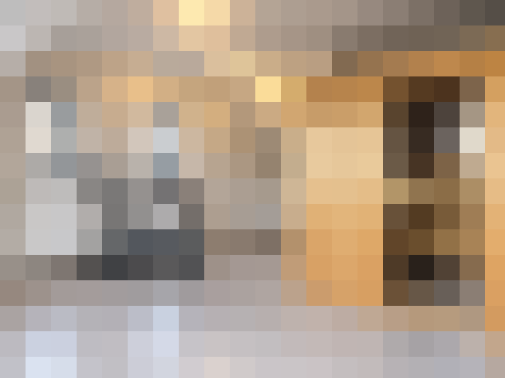  / #20
