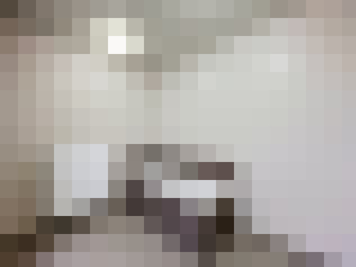  / #15