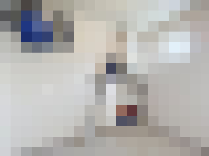  / #8