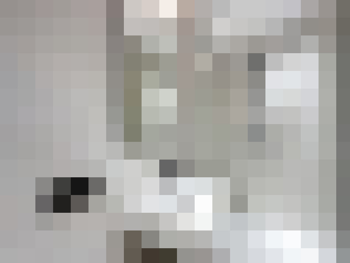  / #12