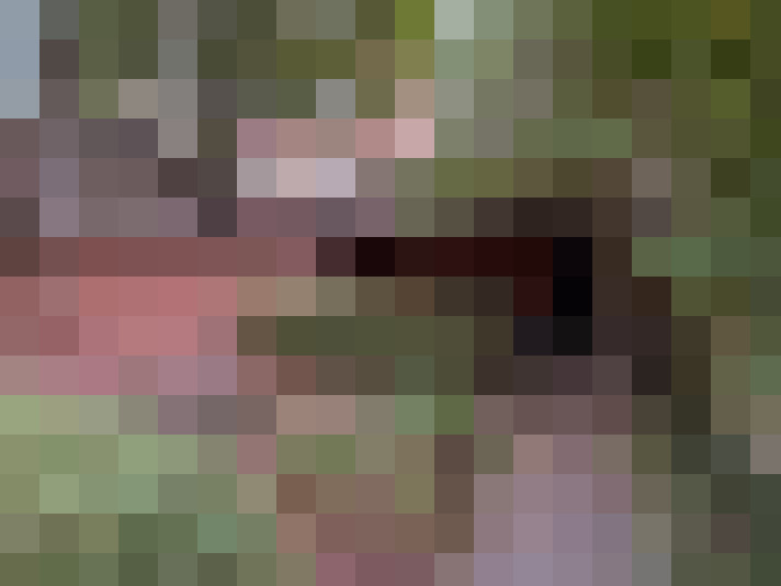  / #21