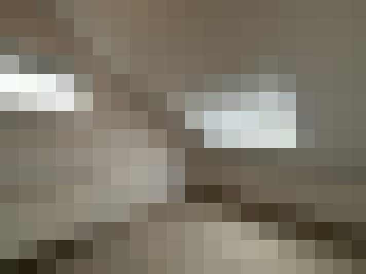  / #15