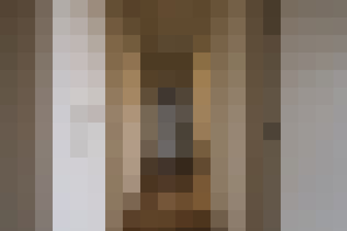 / #11