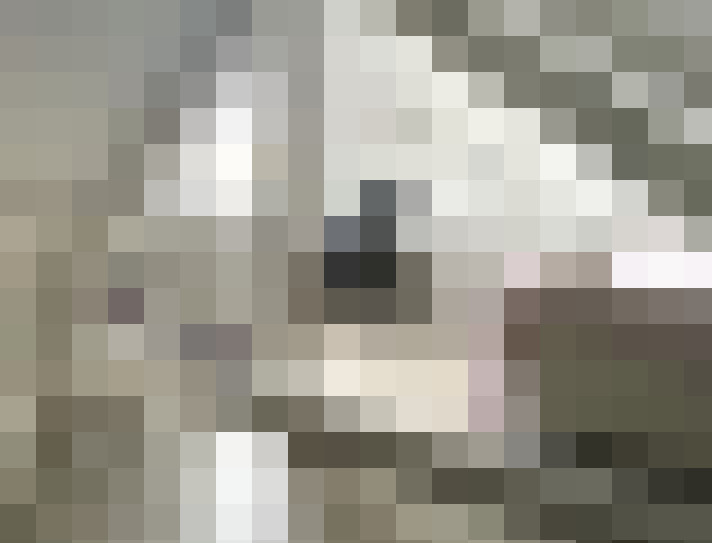  / #12