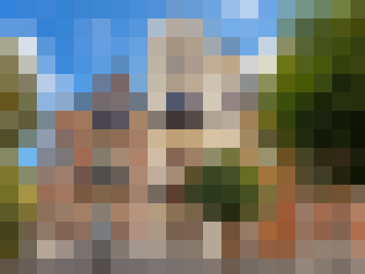  / #17