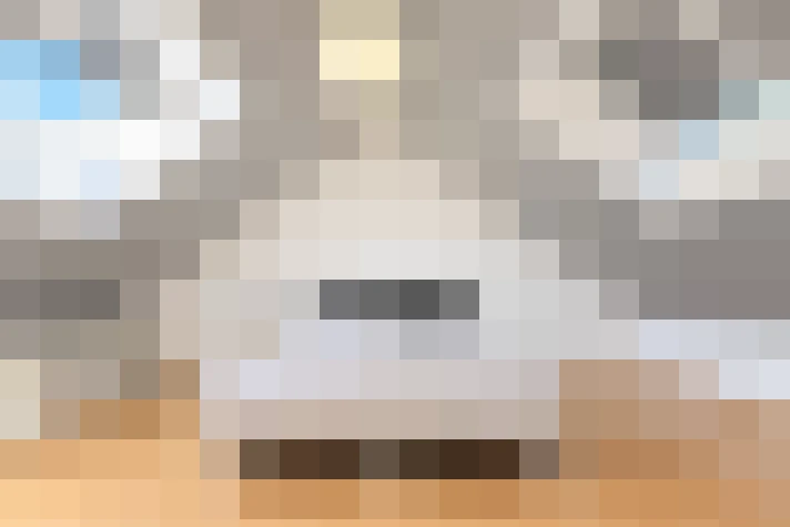  / #9