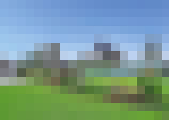 / #15