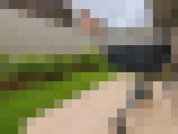  / #16