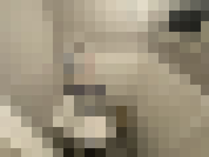 / #13
