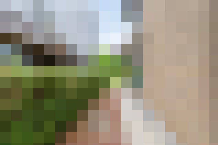  / #17