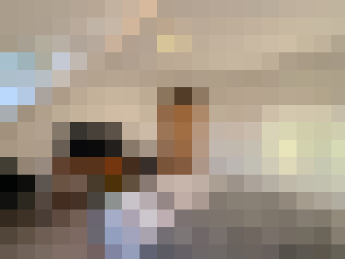  / #8