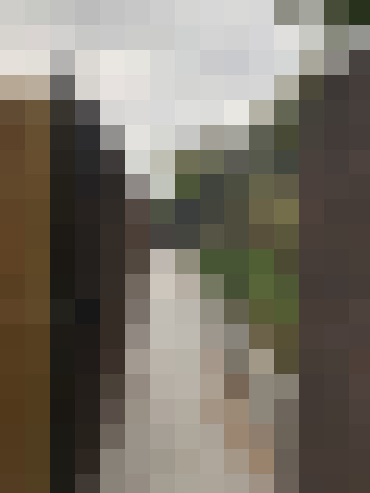  / #17