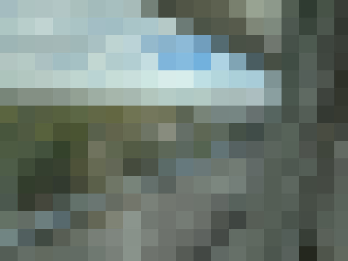  / #7