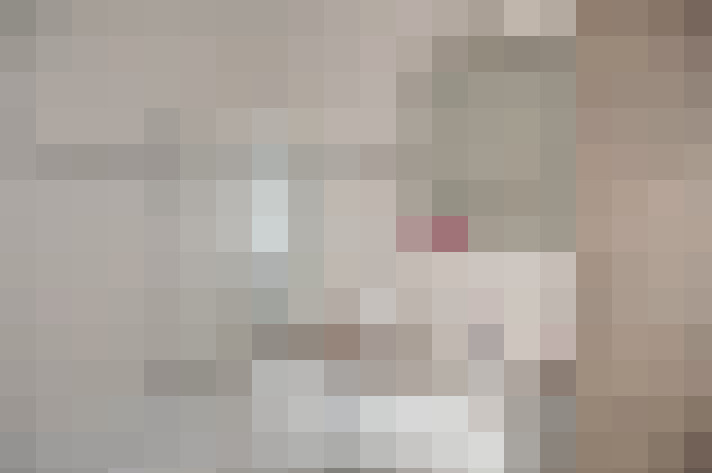 / #11