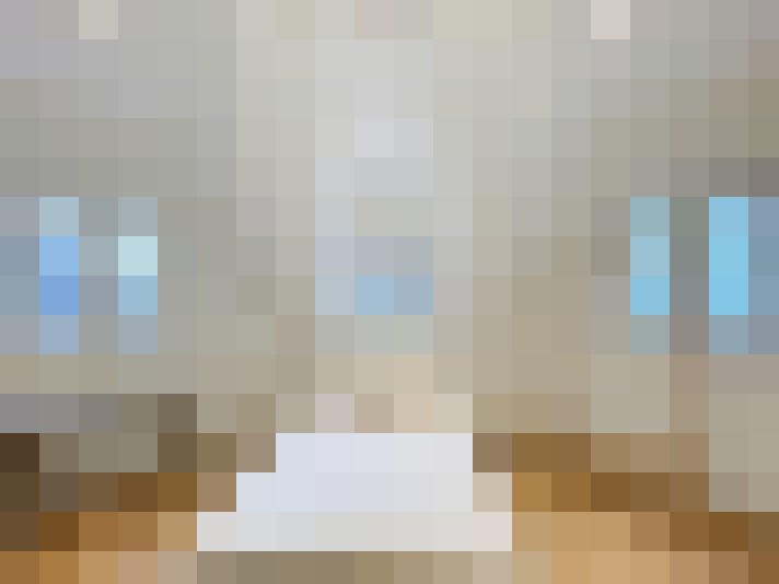  / #7