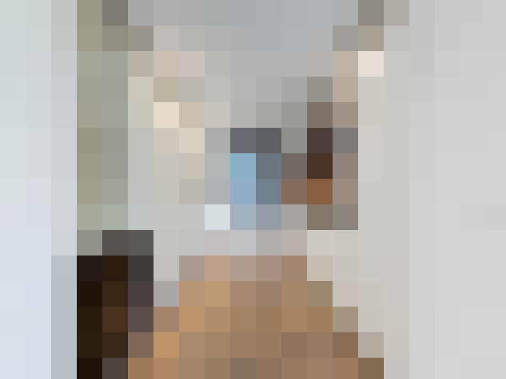  / #8