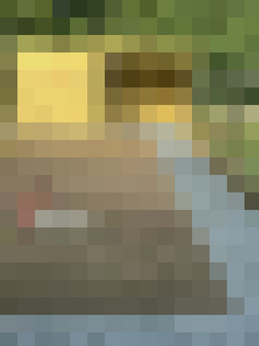  / #15