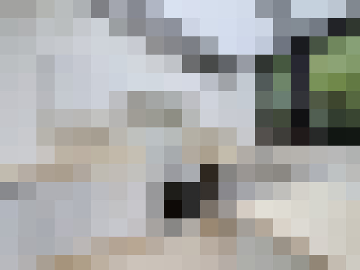  / #7
