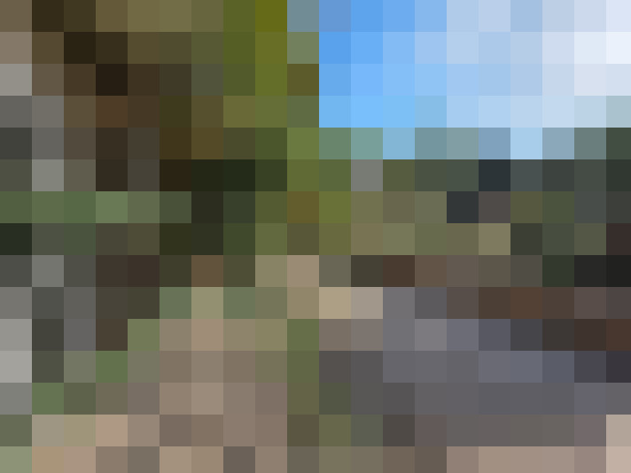  / #17