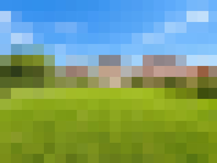  / #17