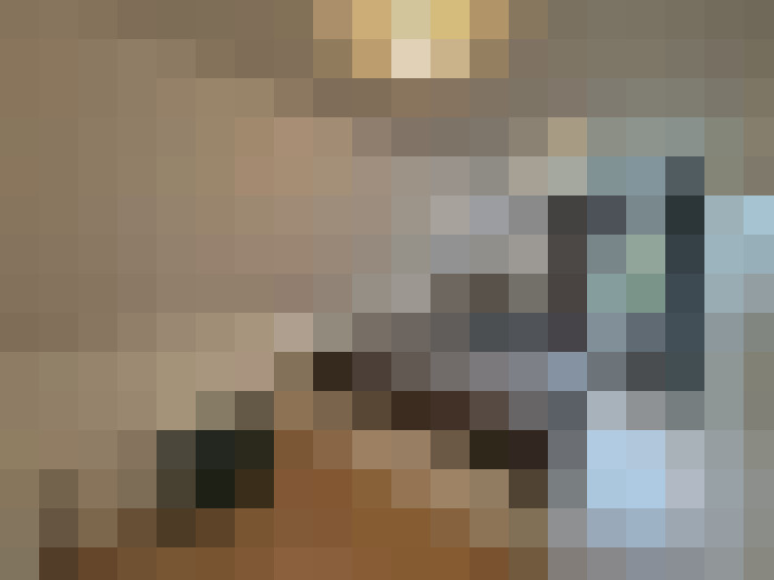  / #15