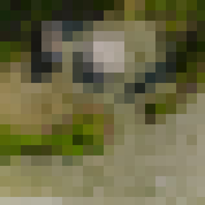  / #7