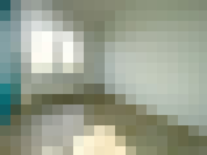  / #8