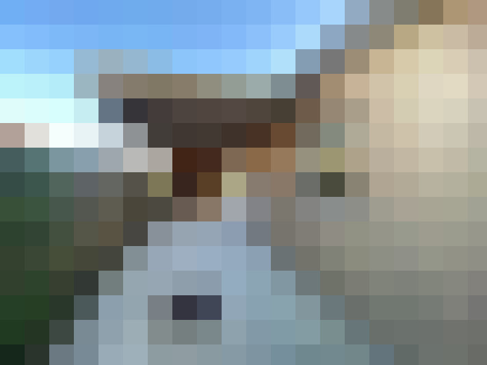  / #12