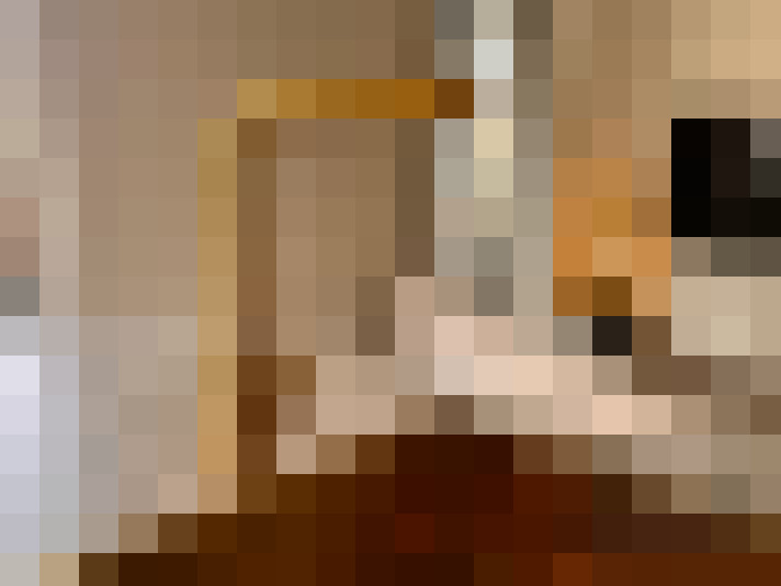  / #12