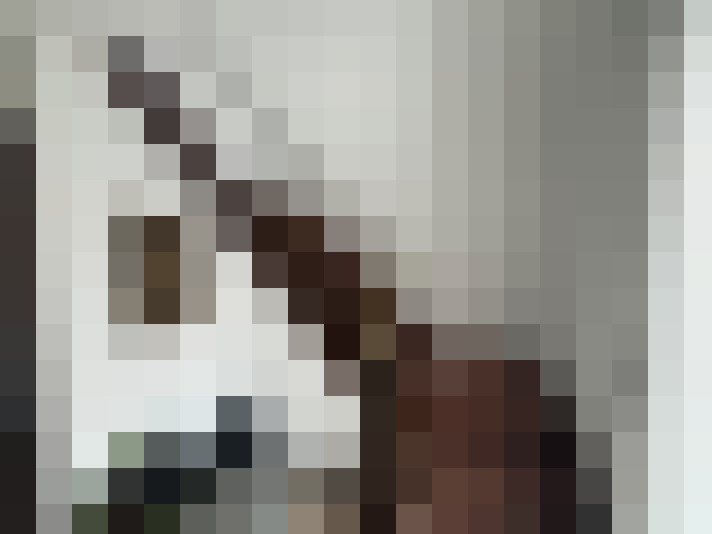  / #16