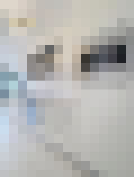  / #13