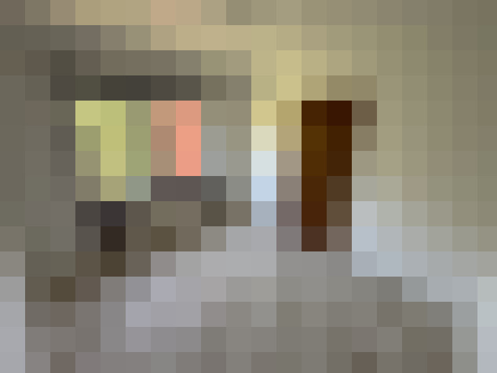  / #7