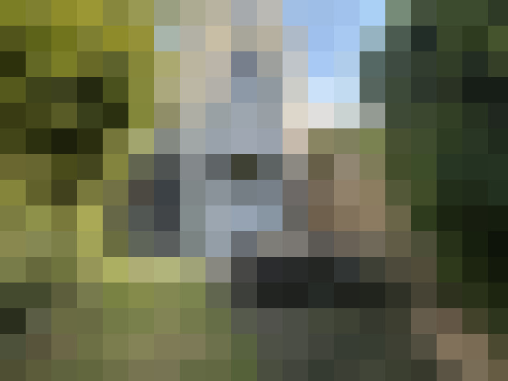  / #16