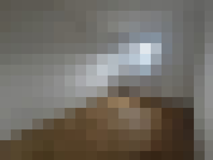  / #11