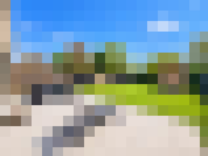  / #16