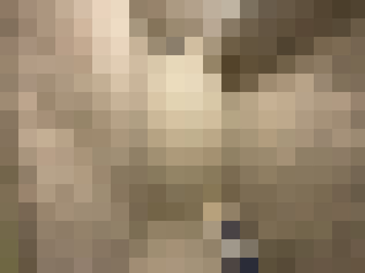  / #11