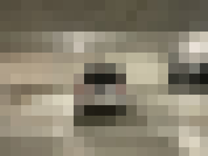  / #10