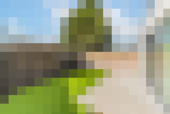  / #18