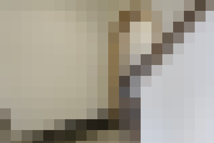  / #11