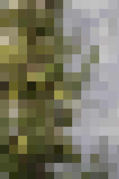  / #14