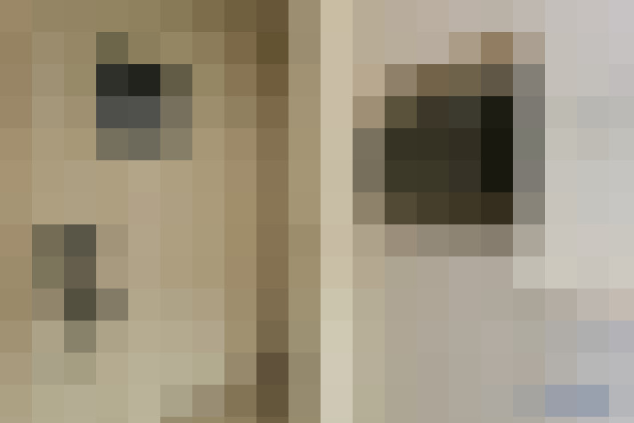  / #11