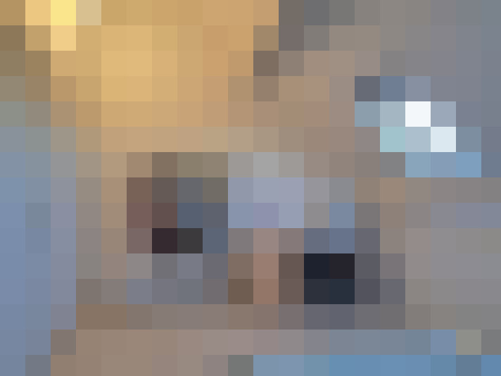  / #14