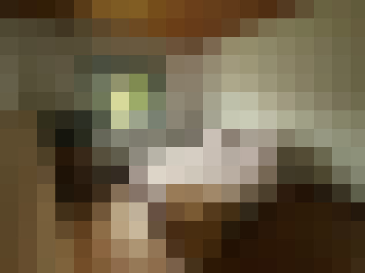  / #8