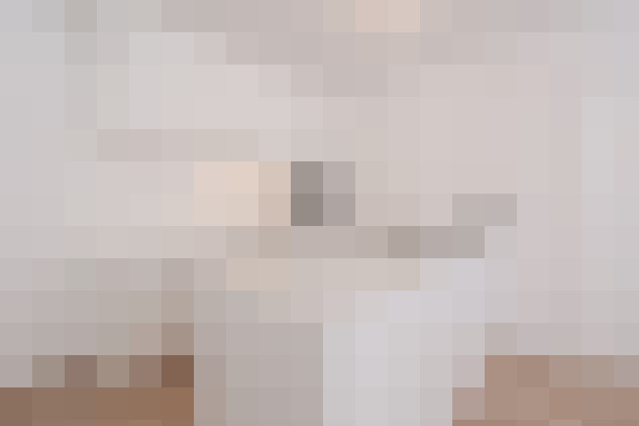  / #11