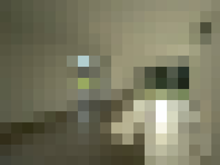  / #2