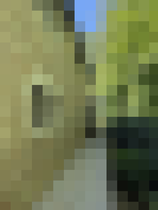  / #11