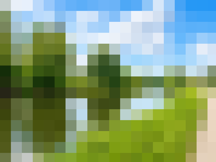  / #14